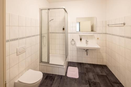 梅明根Hotel Schwanen的带淋浴、卫生间和盥洗盆的浴室