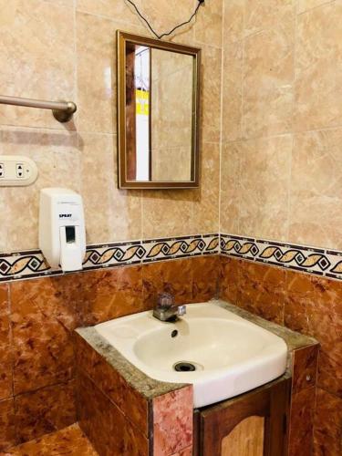 圣佩德罗拉拉古纳Mi casa es tu casa的一间带水槽和镜子的浴室