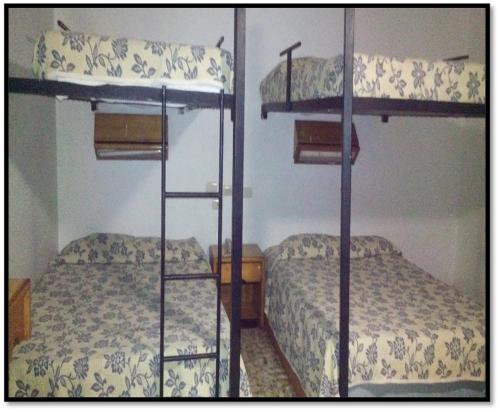 维多利亚城Hostal de Escandón的配有2张双层床的宿舍间