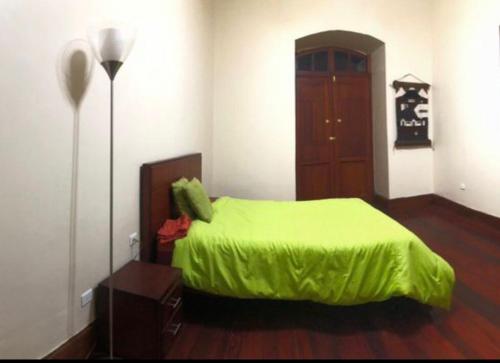 里奥班巴HOSPEDAJE las PRIMICIAS RIOBAMBA 105的一间卧室配有一张带绿床罩的床
