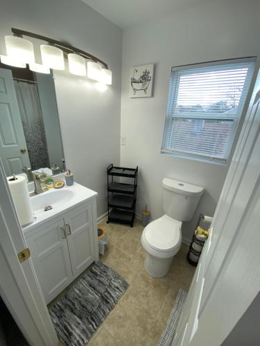 诺福克The Chesapeake Gray的一间带卫生间、水槽和镜子的浴室