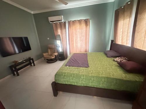 New WeijaRICHGIFT HOMES的一间卧室配有绿色的床和电视