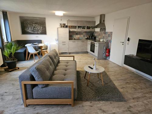 StadelhofenGarden-Loft的客厅配有沙发和桌子