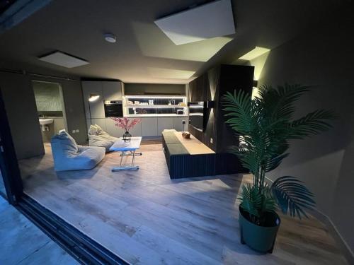 伍德斯托克Contemporary Annex的带沙发和棕榈树的客厅
