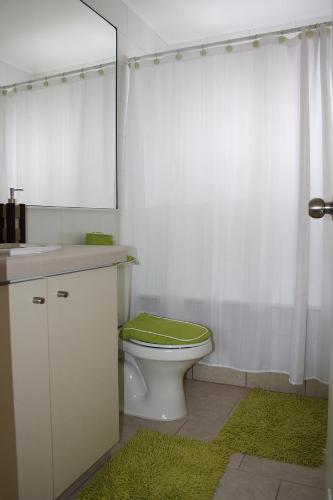 普孔Casa Pucon的浴室设有卫生间、水槽和镜子