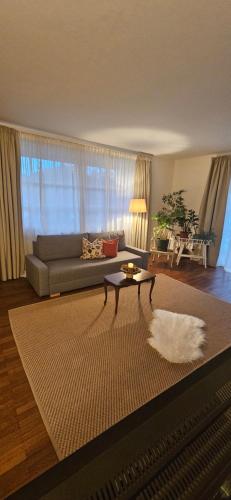 格拉茨Apartment Waltendorf的带沙发和地毯的客厅