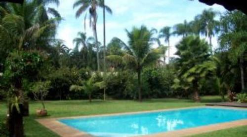 里贝朗普雷托Chácara Irmandade的棕榈树庭院内的游泳池