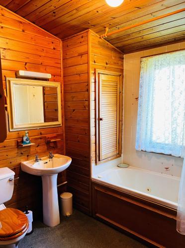 约克Secluded Rustic Cabin - A Digital Detox Paradise.的一间带水槽、浴缸和卫生间的浴室