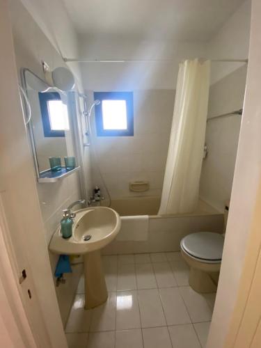 波利斯Paul and Maria Sea View Apartment的一间带水槽、卫生间和淋浴的浴室