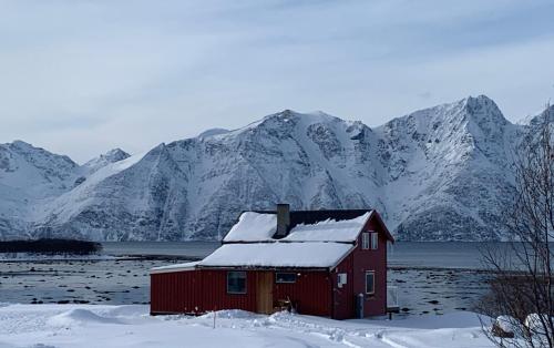 HamnnesLyngen Biarnes- Nordreisa的雪覆盖的山前的红色房子