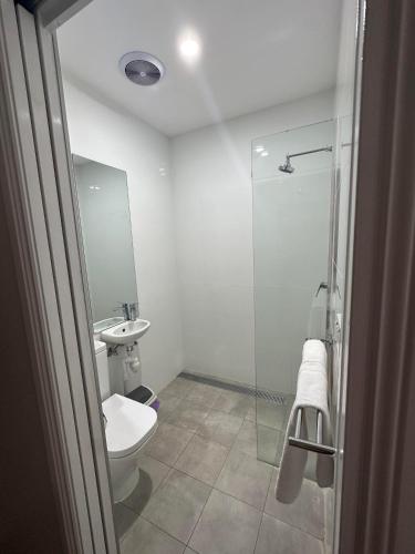 卡西诺Tattersalls Hotel Casino的带淋浴、卫生间和盥洗盆的浴室
