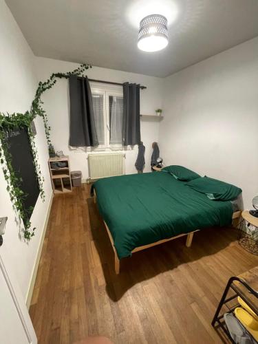 兰斯Le Ranch - chambres privées - proche centre ville的一间卧室配有一张带绿毯的床