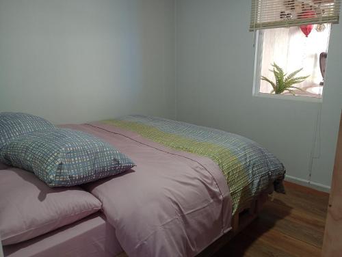 奥索尔诺CABAÑA OSORNO Ruta 215的一张位于带窗户的房间的床