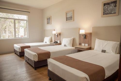 塔克纳DM Hoteles Tacna的酒店客房设有两张床和窗户。