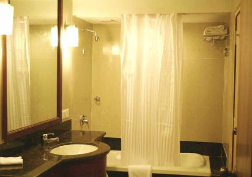 波戈马洛德瓦斯塔利酒店 - 众神之谷的一间带水槽和淋浴帘的浴室