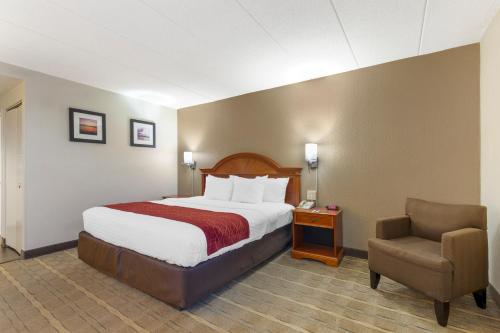 费尔法克斯大学中心康福特茵酒店的配有一张床和一把椅子的酒店客房