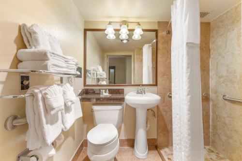 费尔法克斯大学中心康福特茵酒店的一间带卫生间、水槽和镜子的浴室