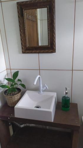 因比图巴Koa Cabana praia do luz的浴室水槽,配有镜子和盆栽植物