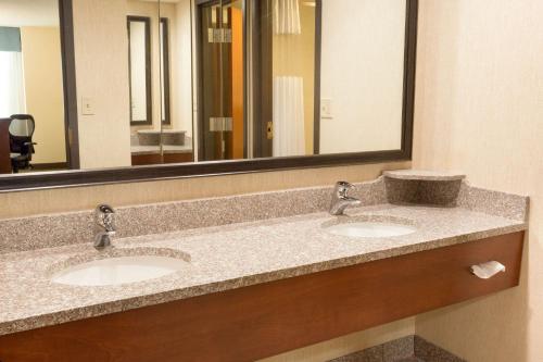 Peerless Park圣路易斯西南德鲁酒店及套房的一间带两个盥洗盆和大镜子的浴室