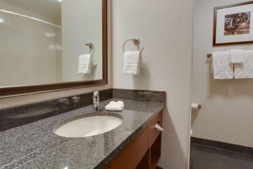 圣查尔斯Drury Plaza Hotel St. Louis St. Charles的一间带水槽和镜子的浴室