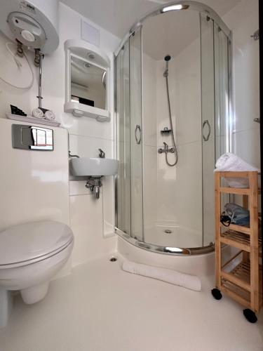 克伦威尔Glamping Dome - Rosé的带淋浴、卫生间和盥洗盆的浴室