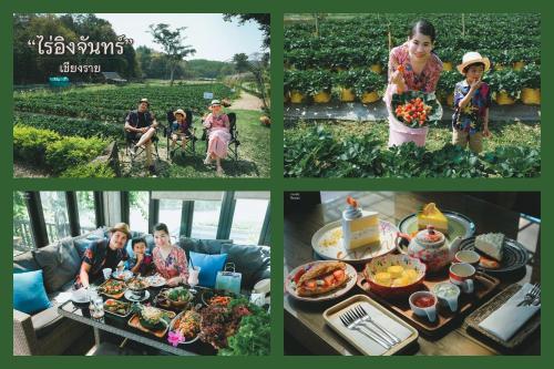 清莱Ing Chan Farm /ไร่อิงจันทร์的家庭准备食物的照片拼合
