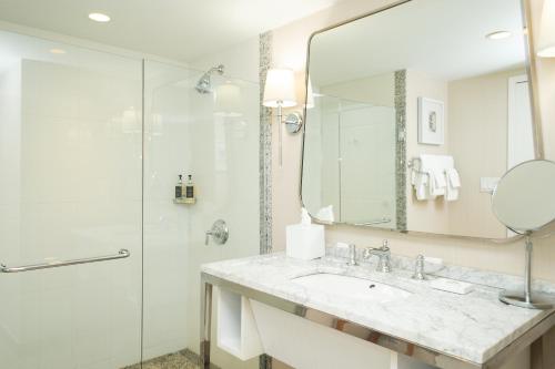 汉诺威达特茅斯汉诺威酒店的白色的浴室设有水槽和淋浴。
