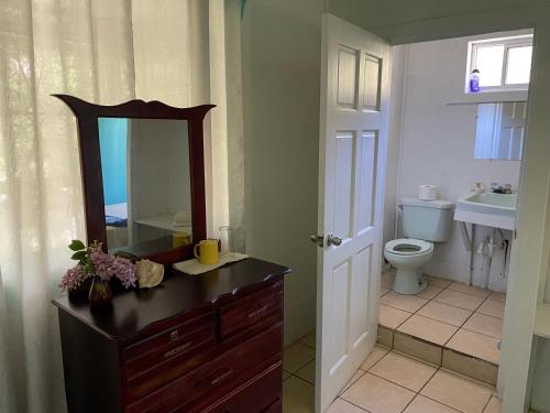 Coxen HoleNo Regrets的一间带水槽、卫生间和镜子的浴室