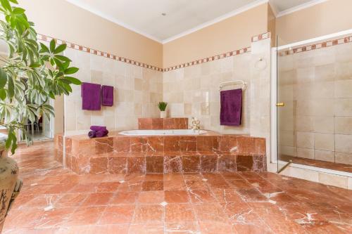 斯泰伦博斯Kleinbosch Lodge的大型浴室设有浴缸和淋浴。