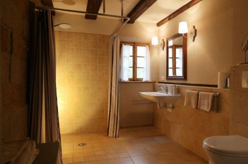 皮尔纳Ferienhaus Lindenhof Graupa的一间带水槽、卫生间和淋浴的浴室