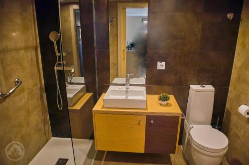 阿尔比尔阿比尔宫旅馆的一间带水槽、卫生间和淋浴的浴室