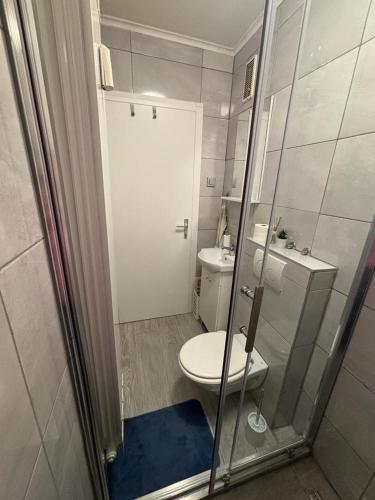 萨莫博尔Studio apartman Stefi的一间带卫生间和淋浴的小浴室