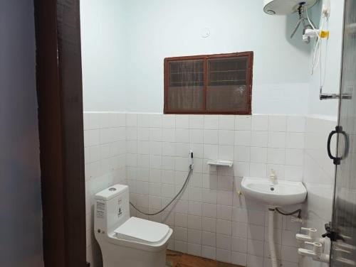 蒂鲁瓦纳马莱Agnisthala Guest House的一间带卫生间和水槽的浴室
