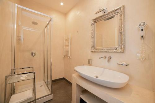 塞尔瓦迪法萨诺Al Mirador Resort的一间带水槽、淋浴和镜子的浴室