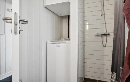腓特烈西亚Awesome Home In Fredericia With Kitchen的一间带小冰箱和淋浴的浴室