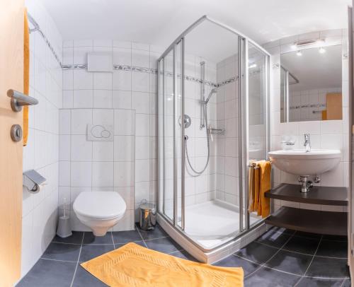 达米尔斯Haus Montana的带淋浴、卫生间和盥洗盆的浴室