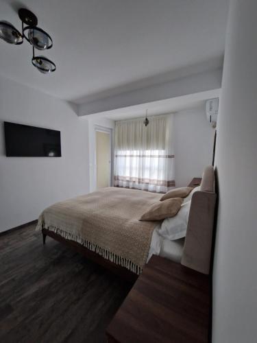 普洛耶什蒂Raluca cozy apartment's的一间卧室设有一张大床和一个窗户。