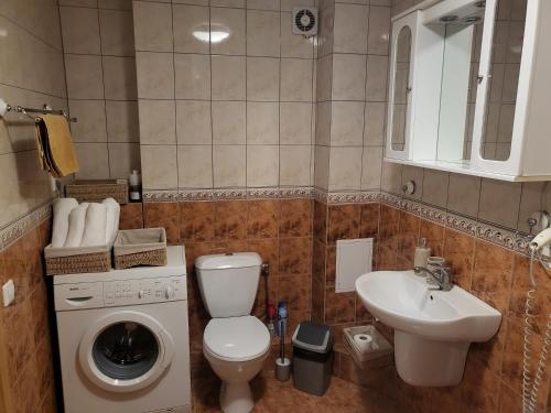 奈达Apartamentai Taikos 10-36 Nida的浴室配有卫生间水槽和洗衣机。