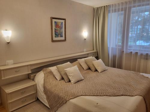 奈达Apartamentai Taikos 10-36 Nida的卧室配有带枕头的床铺和窗户。