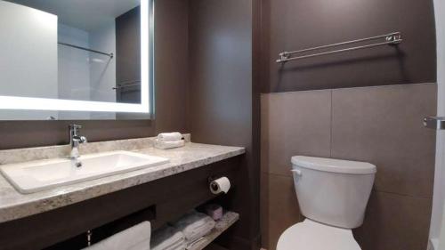 阿尔马Hôtel-Motel Normandin Alma的一间带水槽、卫生间和镜子的浴室