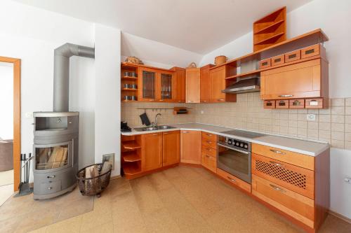 斯洛文尼亚格拉代茨Guest House Štruc的厨房配有木制橱柜和炉灶。