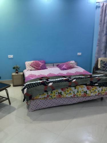 贾姆穆Trikuta Homestay的蓝色墙壁间的一张床位