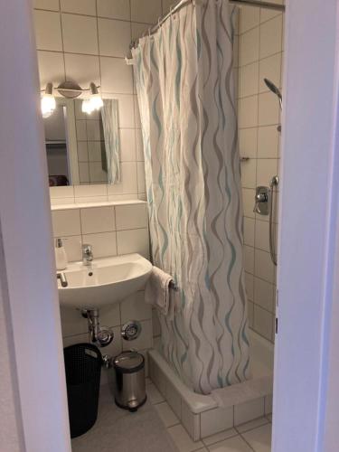林道Ferienappartment Marlon in Lindau的一间带水槽和淋浴帘的浴室