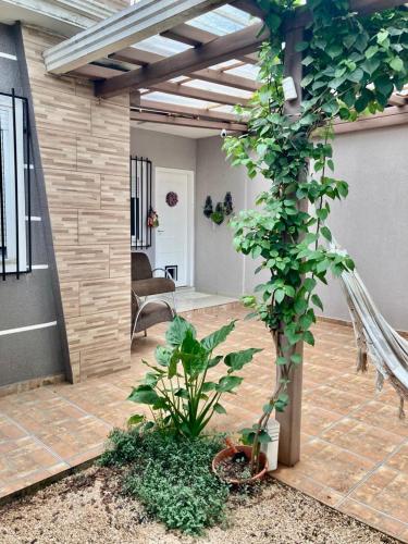 伊瓜苏Casa centro Falls的客厅设有种植了植物的庭院