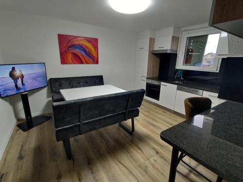 特林巴赫Butthouse Apartments的带沙发的客厅和厨房