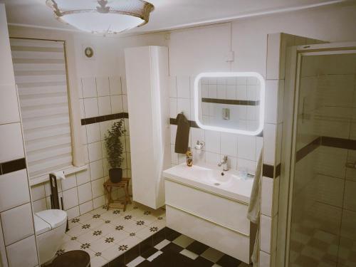鹿特丹Bed and Breakfast Rotterdam的一间带水槽和卫生间的小浴室
