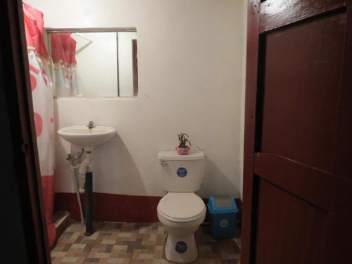 莫约加尔帕Holanda House的一间带卫生间和水槽的浴室
