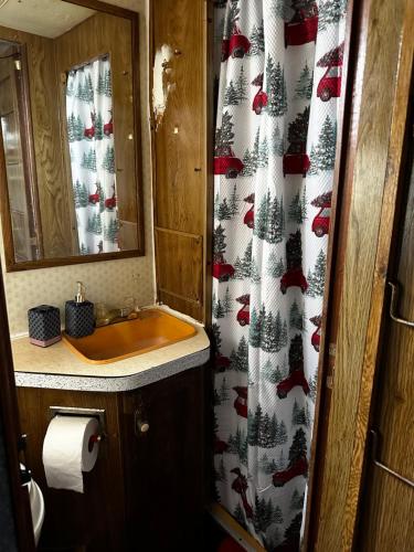 迈阿密Studio Black Castle RV的浴室设有水槽和圣诞浴帘