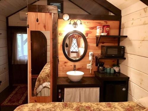 赛维尔维尔Tiny Home Cottage Near the Smokies #1 Olga的客房内的浴室设有水槽和镜子