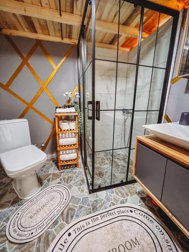 萨潘贾Astral WORLD的一间带卫生间和淋浴的浴室
